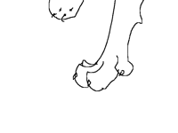 Without one leg cat