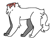 YAY ANATOMY @MerryMaroon