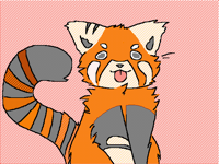 red panda bab