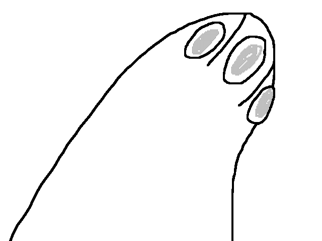 PEEK A BOO! (LOL WUT?)