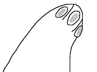 PEEK A BOO! (LOL WUT?)