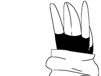 Song:Mike Krol - Fifteen Minutes