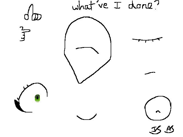 What did I do