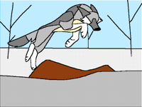 He jump!