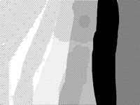 おポポポッポ木かぽサン