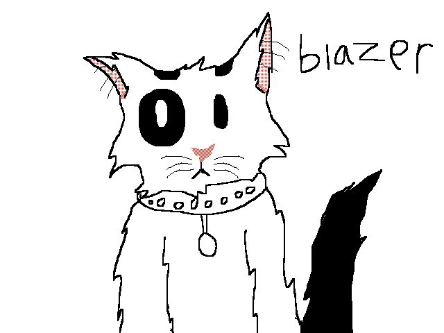 All of my cats