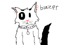 All of my cats