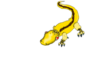 Lizards are just mini dragons.