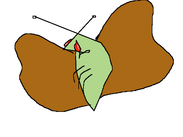 Random drawings #3