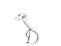 I grant you wish, snake you now have legs