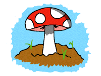 Mushroom