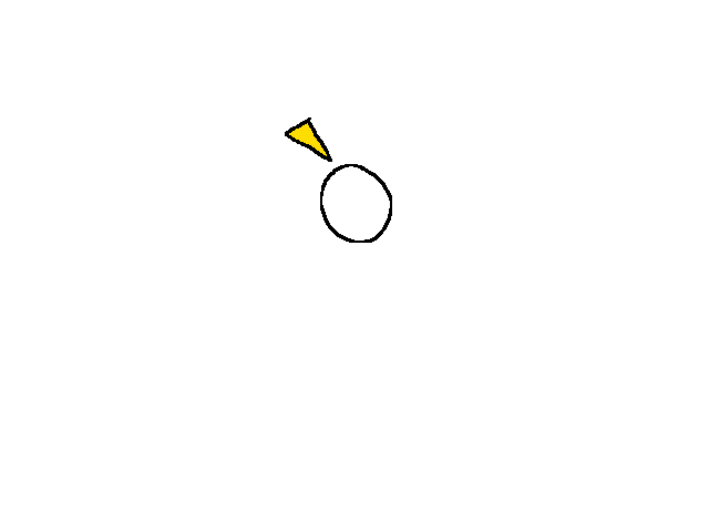 Bird :)