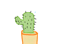 Cactos
