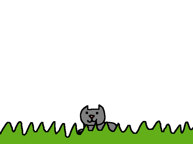 Cat ?