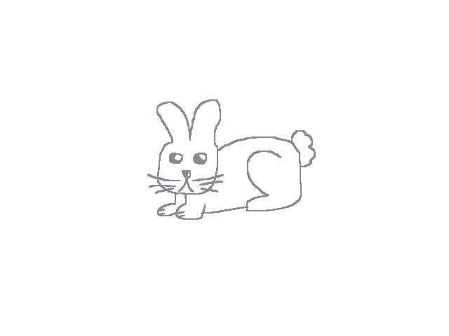 Silly animals | 1