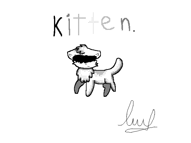 Kitten