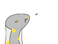 when you blood pee