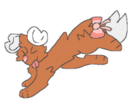 @terri_the_dog here