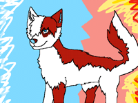 Todoroki as a wolf
