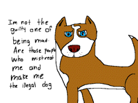 Pitbull