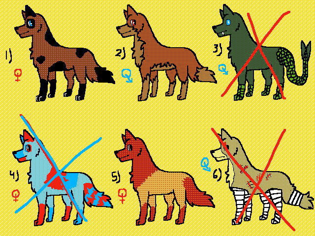 Adoptables!