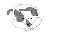 Drawing my cat fast before she move!
