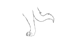 Paw