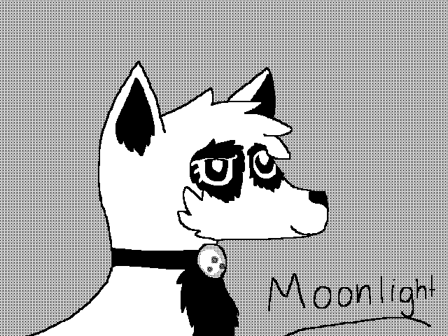 Gift for @Sunsekovnik