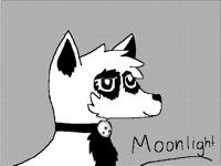 Gift for @Sunsekovnik