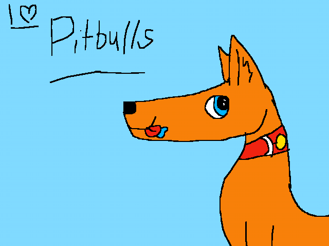 I love Pitbulls