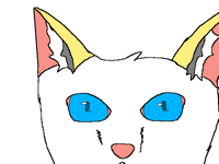 Niko