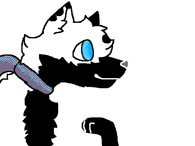 Ray XD