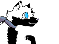 Ray XD
