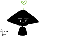 When someone u adore follows you