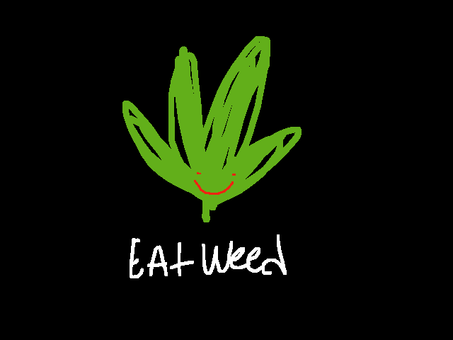 If u get this reference your a legend