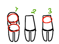 Ok I’m making a oc what should her body type be?