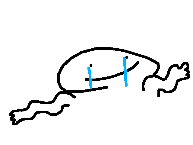 I don’t have anything to do