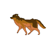 I have no ideas what to draw