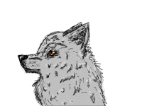 Good boiii
