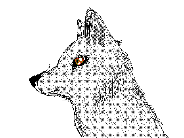 Wolf(finished)