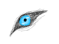 Wolf eye