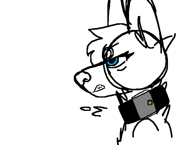 Shock collar