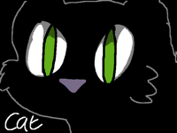 Black Cat