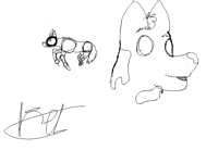Wolf sketch
