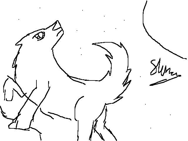 Wolf sketch