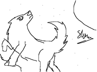 Wolf sketch