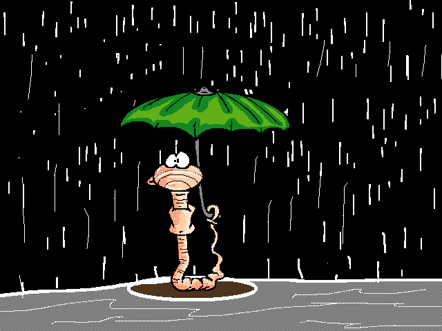 Rain