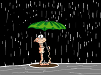Rain