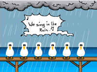 Birds
