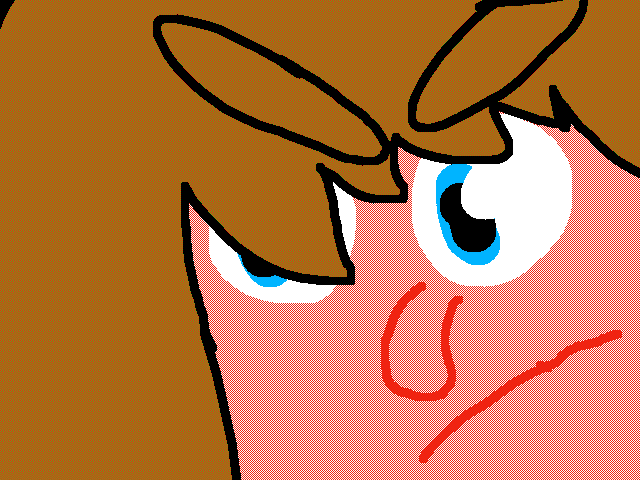 Woki